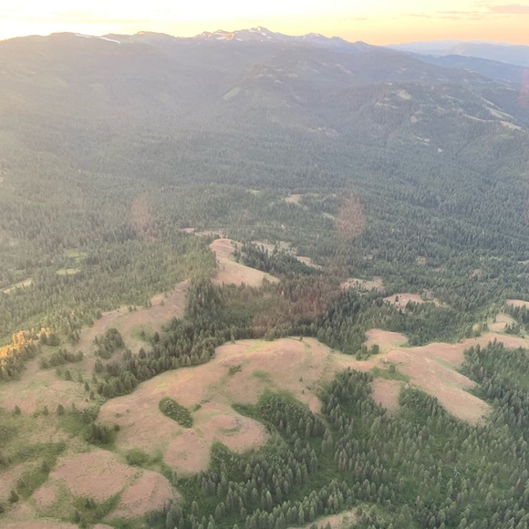 Meet your Posher, Zack - Picture 1 of 1